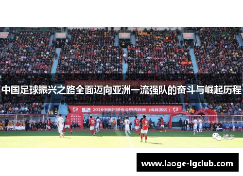 中国足球振兴之路全面迈向亚洲一流强队的奋斗与崛起历程