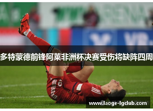 多特蒙德前锋阿莱非洲杯决赛受伤将缺阵四周 多特蒙德前锋阿莱非洲杯决赛受伤将缺阵四周