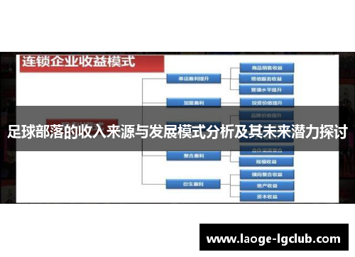 足球部落的收入来源与发展模式分析及其未来潜力探讨