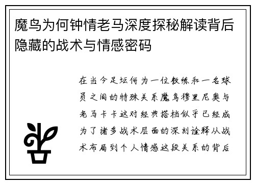 魔鸟为何钟情老马深度探秘解读背后隐藏的战术与情感密码