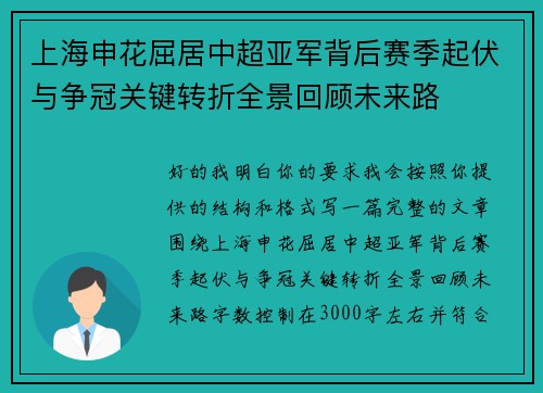 上海申花屈居中超亚军背后赛季起伏与争冠关键转折全景回顾未来路 上海申花屈居中超亚军背后赛季起伏与争冠关键转折全景回顾未来路